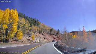 Dash Cam Viewing of fall aspen leaves at their prime [upl. by Carrelli]