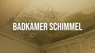 Hoe kan je badkamer schimmel verwijderen  Frisse Kater [upl. by Trubow343]