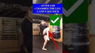 How To Do KEMPO Fake Kick IN A FIGHT Shorts [upl. by Ycrep]