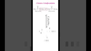 Claisen Condensation  ethyl acetate to ethyl acetoacetate  betaketo ester  Land of Chemistry [upl. by Nnauol716]