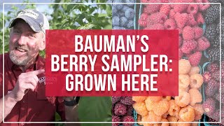 Baumans Berry Sampler Grown Here at the Farm [upl. by Moersch]