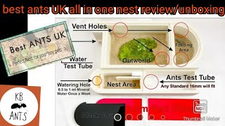 Best Ants UK all in one Nest ReviewUnboxing [upl. by Arondell]