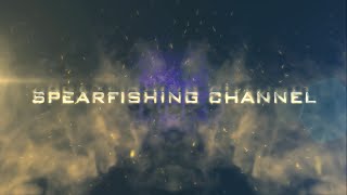 Spearfishing Channel [upl. by Hendel205]