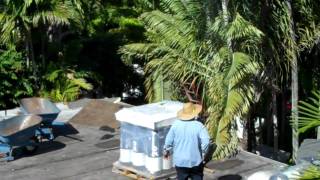 Flat Roof Work in Progress 2 Miami FL Istueta Roofing [upl. by Anitsuga]