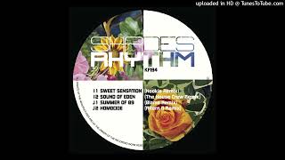 Shades of Rhythm  Sound Of Eden The House Crew Symphonic Remix [upl. by Nyraf427]