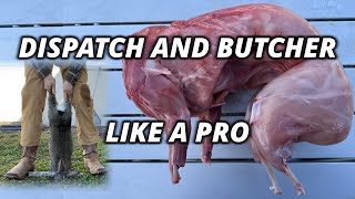 How to Raise and Butcher Meat Rabbits COMPLETE GUIDE [upl. by Reppep]