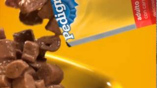 Sobrecitos Pedigree® comercial quotVueltasquot Argentina [upl. by Etteraj]