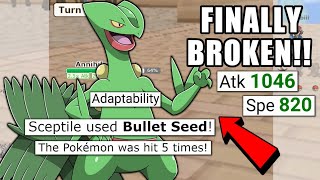 ADAPTABILITY DRAGON DANCE SCEPTILE SWEEP POKEMON SCARLET AND VIOLET  POKEMON SHOWDOWN [upl. by Eirrem]