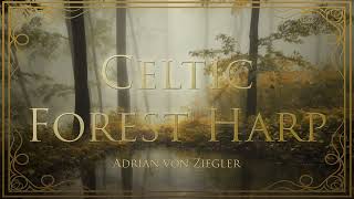 1 Hour of Relaxing Celtic Forest Harp [upl. by Alasteir]