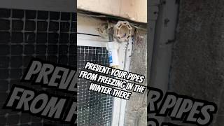 Freeze Miser Winter tip home homeowner helpful freeze [upl. by Tiat]