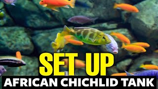 How To Setup An African Cichlid Tank 🐟 [upl. by Bedwell]