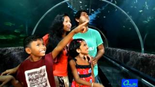 Underwater Sea Tunnel 2013 Water World Lanka [upl. by Ecerahc675]