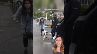 News reporter finds stolen dog while reporting on his dognapping case 🐶 shorts [upl. by Karee]