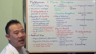 Meldonium and Maria Sharapova explained by a Medical Student [upl. by Anihc]