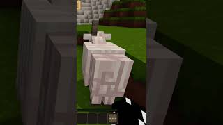 Eu encontrei aleatório amente minecraft [upl. by Harle]