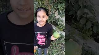 fruit yummy trending like subscribe youtubeshorts [upl. by Catherina]