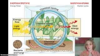 Izokrenuta učionica  Ekosistem [upl. by Kingdon]