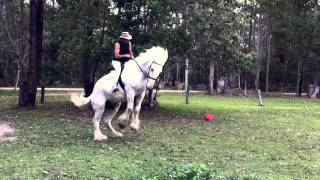 Bucked Off  Man thrown from saddle [upl. by Guod605]