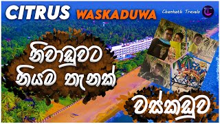 Citrus Waskaduwa  වස්කඩුව  Sri Lanka  Chanketh Travels [upl. by Anileve]