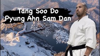 Tang Soo Do Form 6 Pyung Ahn Sam Dan [upl. by Ario644]