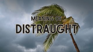 What is the meaning of Distraught [upl. by Ibbed]