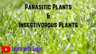 Insectivorous Plants  Parasitic Plants  Seeds amp Seeds  Class 5  EVS  Learn With Logic [upl. by Bakeman]