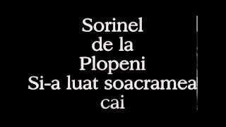 SORINEL DE LA PLOPENI SI A LUAT SOACRAMEA [upl. by Marks]