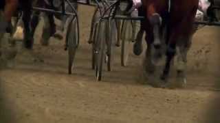 Eltloppet 2013 Solvalla Officiell Trailer [upl. by Yerrot]