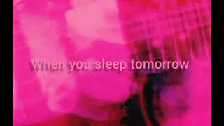 My Bloody Valentine  When You Sleep Lyrics [upl. by Eiveneg]