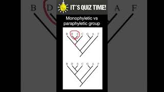 Monophyletic vs Paraphyletic groups [upl. by Jephthah]