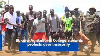 Bukura Agricultural College students protests over insecurity [upl. by Kucik]