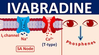 Ivabradine in Heart Failure  Mechanism side effects interactions amp uses [upl. by Annohsat]