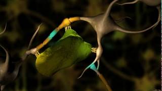 Neuronal Degeneration 3D [upl. by Sonstrom]