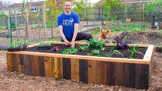 How to Build a RAISED BED Using PALLETS FREE Backyard Gardening [upl. by Fitzhugh832]