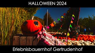 Halloween 2024 Pumpkins at Erlebnisbauernhof Gertrudenhof [upl. by Enalda171]