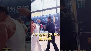 Tongbeiquan通背拳 Do not imitate promoves shaolin wingchun kungfu wushu 功夫 太极 武术 少林 [upl. by Jamnis]