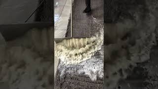 Deep Cleaning Satisfaction Watch This Rug Transformation 🧼✨ CarpetCleaning [upl. by Nahtanaj]