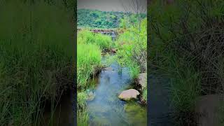 wahcantt water enjoyment masahallah naturebeauty👌👌 cityworld [upl. by Ygief]