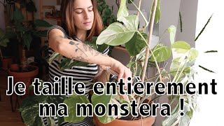 Taille et boutures de monstera  mes conseils   Vertbobo [upl. by Atterahs]