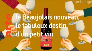 le Beaujolais nouveau le fabuleux destin dun petit vin  Karambolage  ARTE [upl. by Nilac]