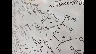 Biological molecules revision mindmap OCR A biology [upl. by Ondine]