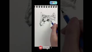 Cat drawing for Beginners  Easy StepbyStep [upl. by Eckart]