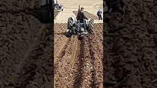 David Brown Tractor Ransomes Plough at Cruckton Ploughing Match  Saturday 14th September 2024 [upl. by Hindorff]