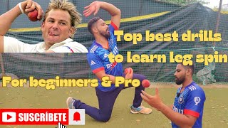 Leg spin bowling drill tutorial to take you from a beginner to a pro in 4 weeks [upl. by Imray]