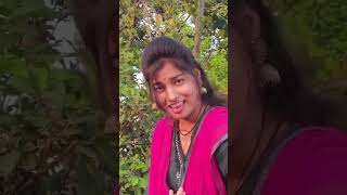 dilwale movie song shortvideo hindi viralshort [upl. by Sylram29]