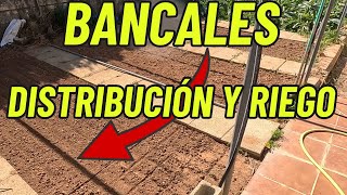 🌱Distribución de bancales y riego💧 [upl. by Annahoj934]