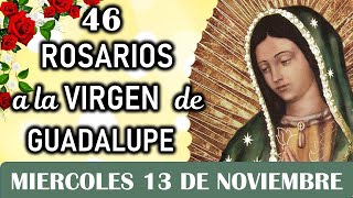 46 Rosarios ala Santísima Virgen de Guadalupe Miércoles 13 de Noviembre Dia 17🎈Misterios Gloriosos [upl. by Toomin]