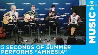 5 Seconds of Summer  quotAmnesiaquot Live  SiriusXM [upl. by Tillion]