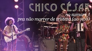 Chico César  No Sumaré  Pra Não Morrer de Tristeza Ao Vivo [upl. by Nazay]