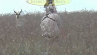 Heads Up Decoy 2009 Antelope Season [upl. by Neelyar965]